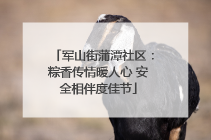 军山街蒲潭社区：粽香传情暖人心 安全相伴度佳节