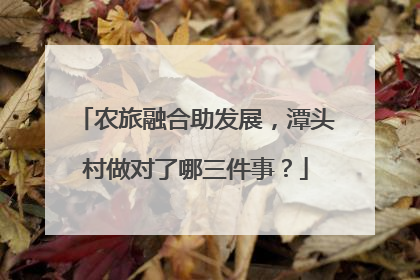 农旅融合助发展，潭头村做对了哪三件事？