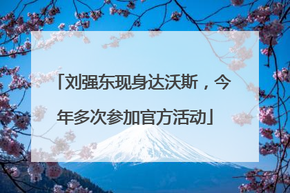 刘强东现身达沃斯，今年多次参加官方活动