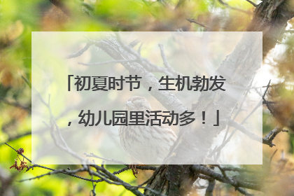 初夏时节，生机勃发，幼儿园里活动多！