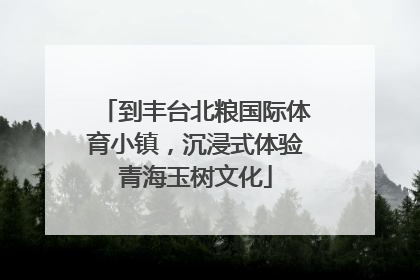 到丰台北粮国际体育小镇，沉浸式体验青海玉树文化