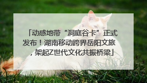 动感地带“洞庭谷卡”正式发布！湖南移动跨界岳阳文旅，架起Z世代文化共振桥梁