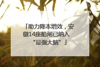助力降本增效，安徽14座船闸已纳入“最强大脑”