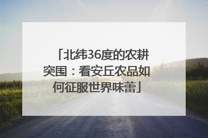 北纬36度的农耕突围：看安丘农品如何征服世界味蕾