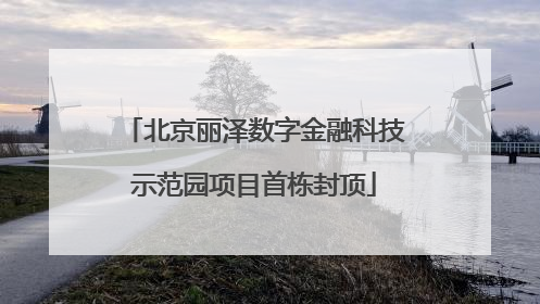 北京丽泽数字金融科技示范园项目首栋封顶