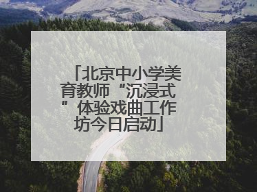 北京中小学美育教师“沉浸式”体验戏曲工作坊今日启动