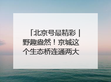 北京号最精彩｜野趣盎然！京城这个生态桥连通两大网红公园