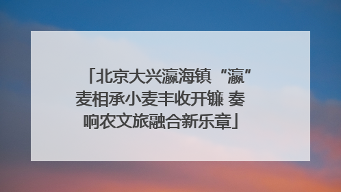 北京大兴瀛海镇“瀛”麦相承小麦丰收开镰 奏响农文旅融合新乐章