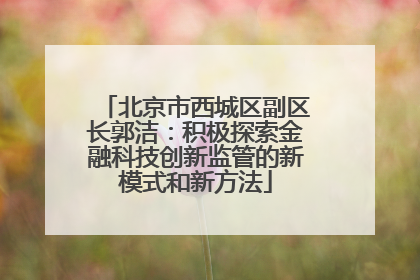 北京市西城区副区长郭洁：积极探索金融科技创新监管的新模式和新方法