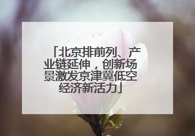 北京排前列、产业链延伸，创新场景激发京津冀低空经济新活力