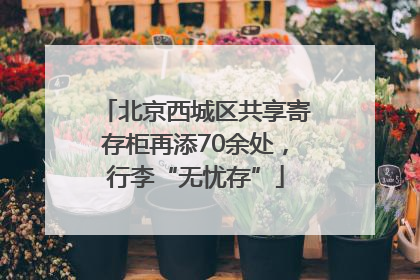 北京西城区共享寄存柜再添70余处，行李“无忧存”