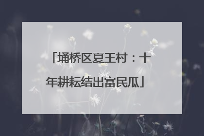 埇桥区夏王村：十年耕耘结出富民瓜