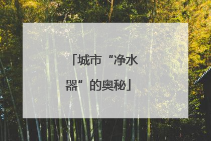 城市“净水器”的奥秘