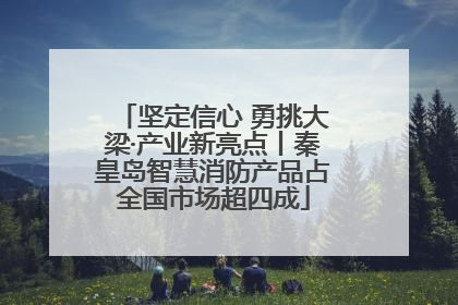 坚定信心 勇挑大梁·产业新亮点丨秦皇岛智慧消防产品占全国市场超四成