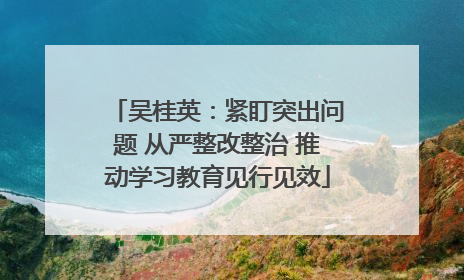 吴桂英：紧盯突出问题 从严整改整治 推动学习教育见行见效