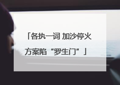 各执一词 加沙停火方案陷“罗生门”