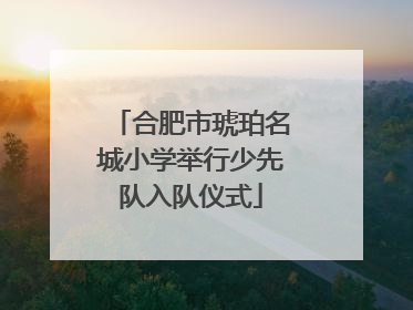 合肥市琥珀名城小学举行少先队入队仪式