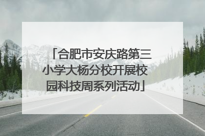 合肥市安庆路第三小学大杨分校开展校园科技周系列活动