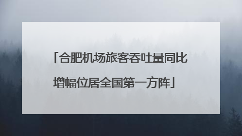 合肥机场旅客吞吐量同比增幅位居全国第一方阵