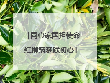 同心家国担使命 红柳筑梦践初心