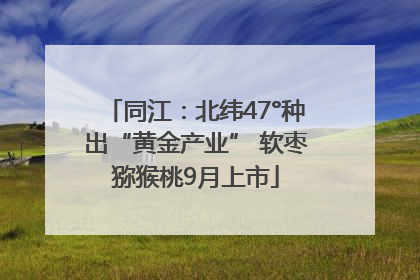同江：北纬47°种出“黄金产业” 软枣猕猴桃9月上市
