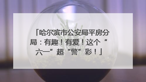哈尔滨市公安局平房分局：有趣！有爱！这个“六一”超“警”彩！