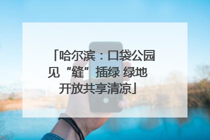 哈尔滨：口袋公园见“缝”插绿 绿地开放共享清凉