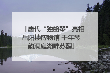 唐代“独幽琴”亮相岳阳楼博物馆 千年琴韵洞庭湖畔苏醒