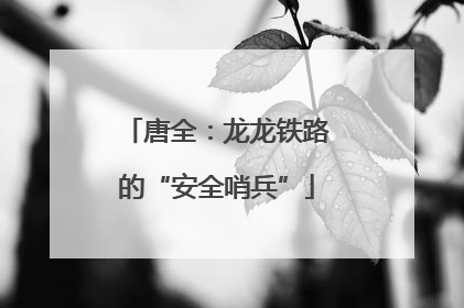 唐全：龙龙铁路的“安全哨兵”