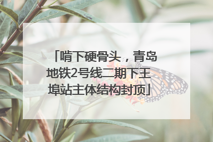 啃下硬骨头，青岛地铁2号线二期下王埠站主体结构封顶