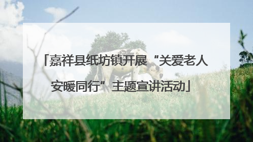 嘉祥县纸坊镇开展“关爱老人 安暖同行”主题宣讲活动