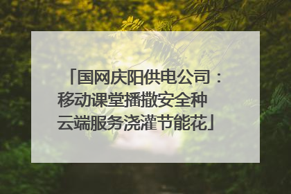 国网庆阳供电公司：移动课堂播撒安全种 云端服务浇灌节能花