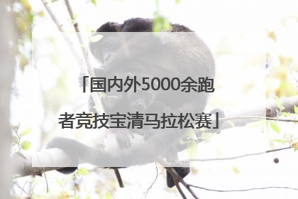 国内外5000余跑者竞技宝清马拉松赛