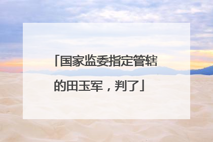 国家监委指定管辖的田玉军，判了