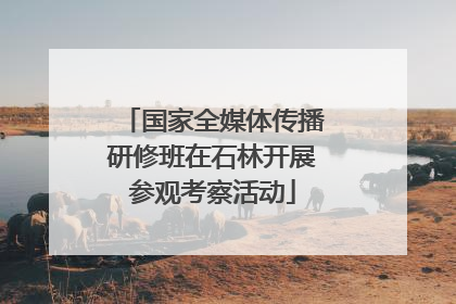 国家全媒体传播研修班在石林开展参观考察活动