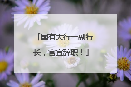 国有大行一副行长，官宣辞职！