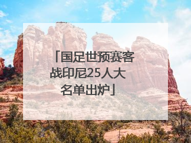 国足世预赛客战印尼25人大名单出炉