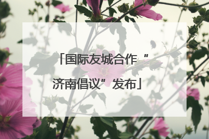国际友城合作“济南倡议”发布