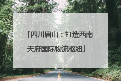 四川眉山：打造西南天府国际物流枢纽