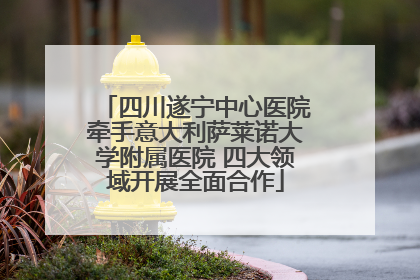 四川遂宁中心医院牵手意大利萨莱诺大学附属医院 四大领域开展全面合作