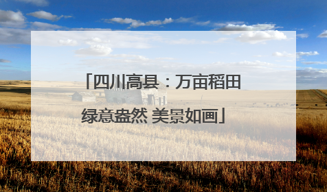 四川高县：万亩稻田绿意盎然 美景如画