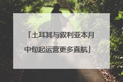 土耳其与叙利亚本月中旬起运营更多直航
