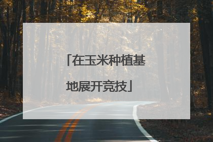 在玉米种植基地展开竞技