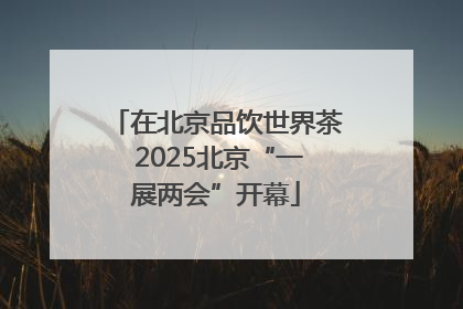在北京品饮世界茶 2025北京“一展两会”开幕