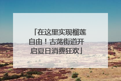 在这里实现榴莲自由！古荡街道开启夏日消费狂欢