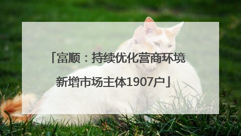 富顺：持续优化营商环境 新增市场主体1907户