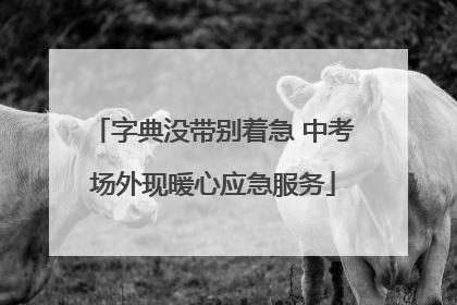字典没带别着急 中考场外现暖心应急服务