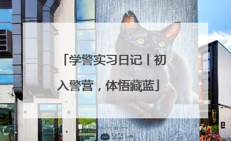学警实习日记丨初入警营，体悟藏蓝