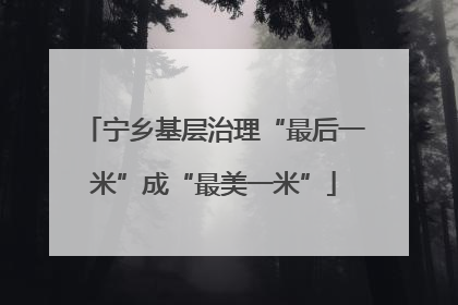 宁乡基层治理“最后一米”成“最美一米”
