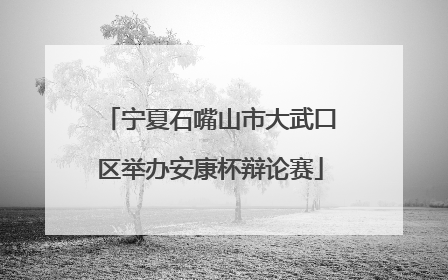 宁夏石嘴山市大武口区举办安康杯辩论赛